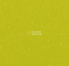 Линолеум Forbo Marmoleum Decibel on Order 364635 young grass фото 1 | FLOORDEALER